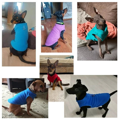 SnugglePaws | Warme Jacke für kleine Hunde